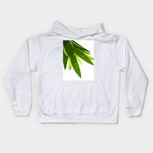 PALM LEAF GEEN TROPICAL ISLAND FOILAGE Kids Hoodie